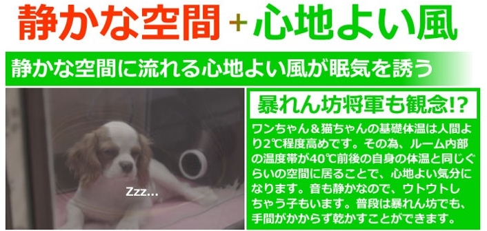 �y�b�g�h���C���[�������ɂ���